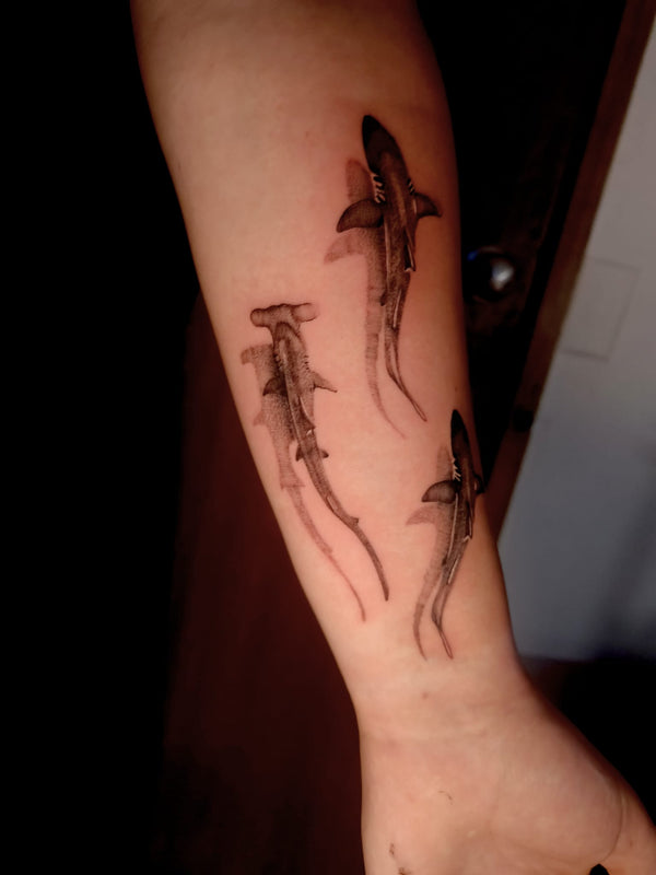 shark tattoo melbourne