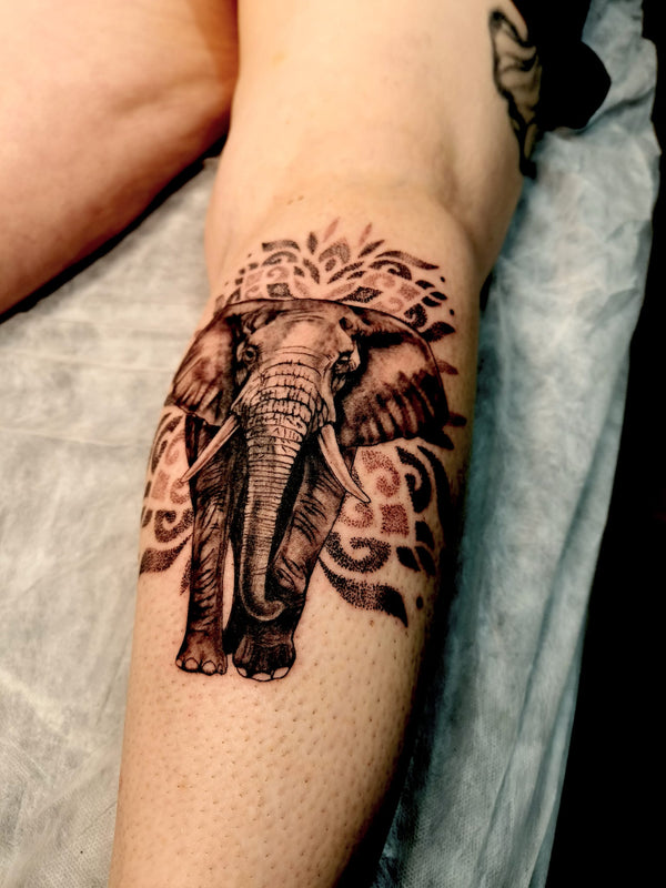 elephant tattoo cranbourne