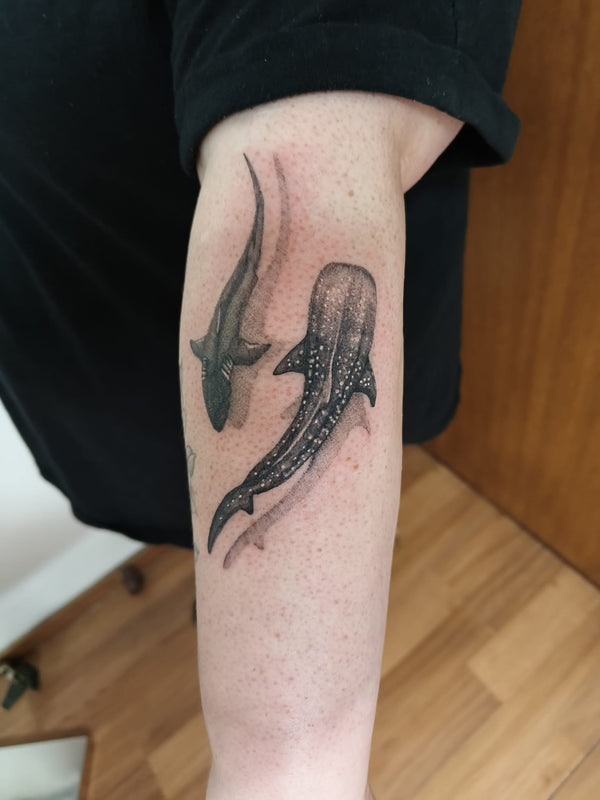 viral shark tattoo melbourne
